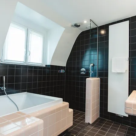 Ξενοδοχείο Hotel The Dutch Maastricht 3*